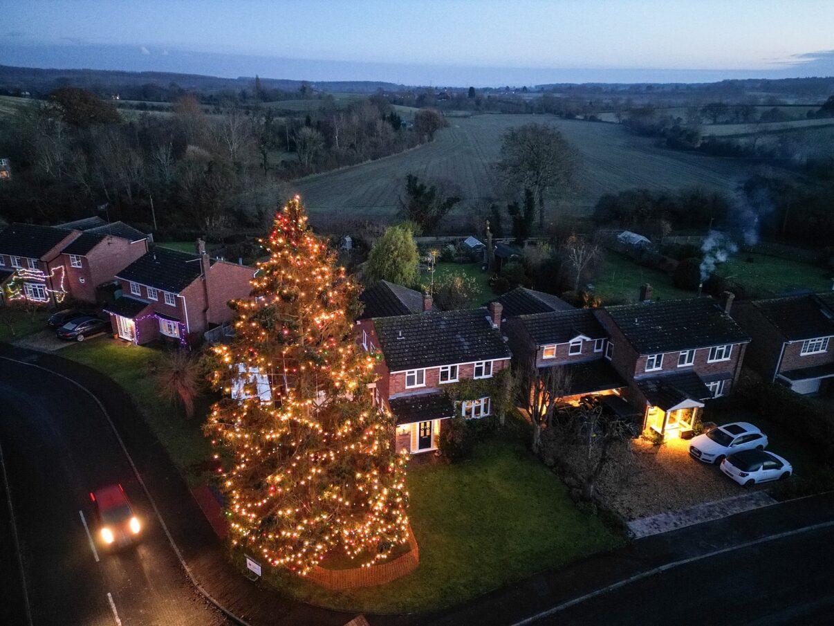 Bradul de Crăciun al unei familii britanice – devenit atracție turistică