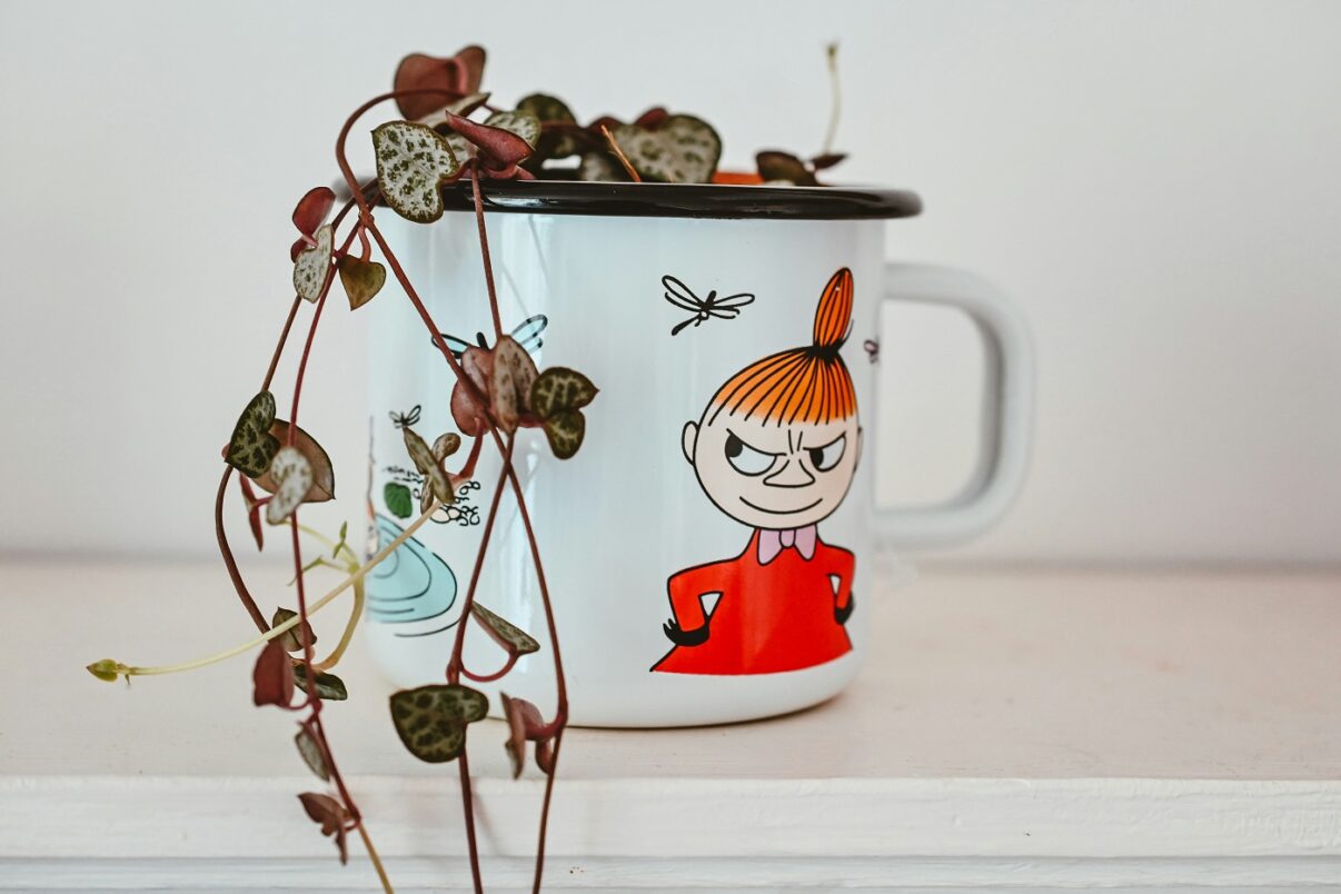 Ce poți refolosi și cum drept vase mască inedite pentru flori