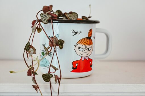 Ce poți refolosi și cum drept vase mască inedite pentru flori