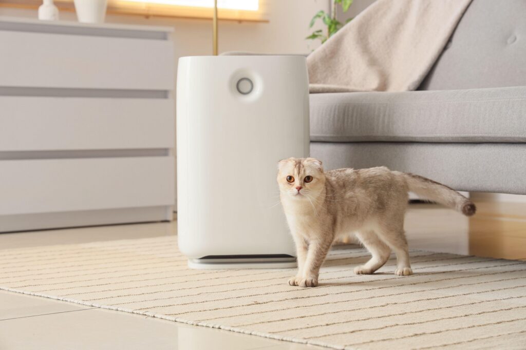 Purificatoarele de aer