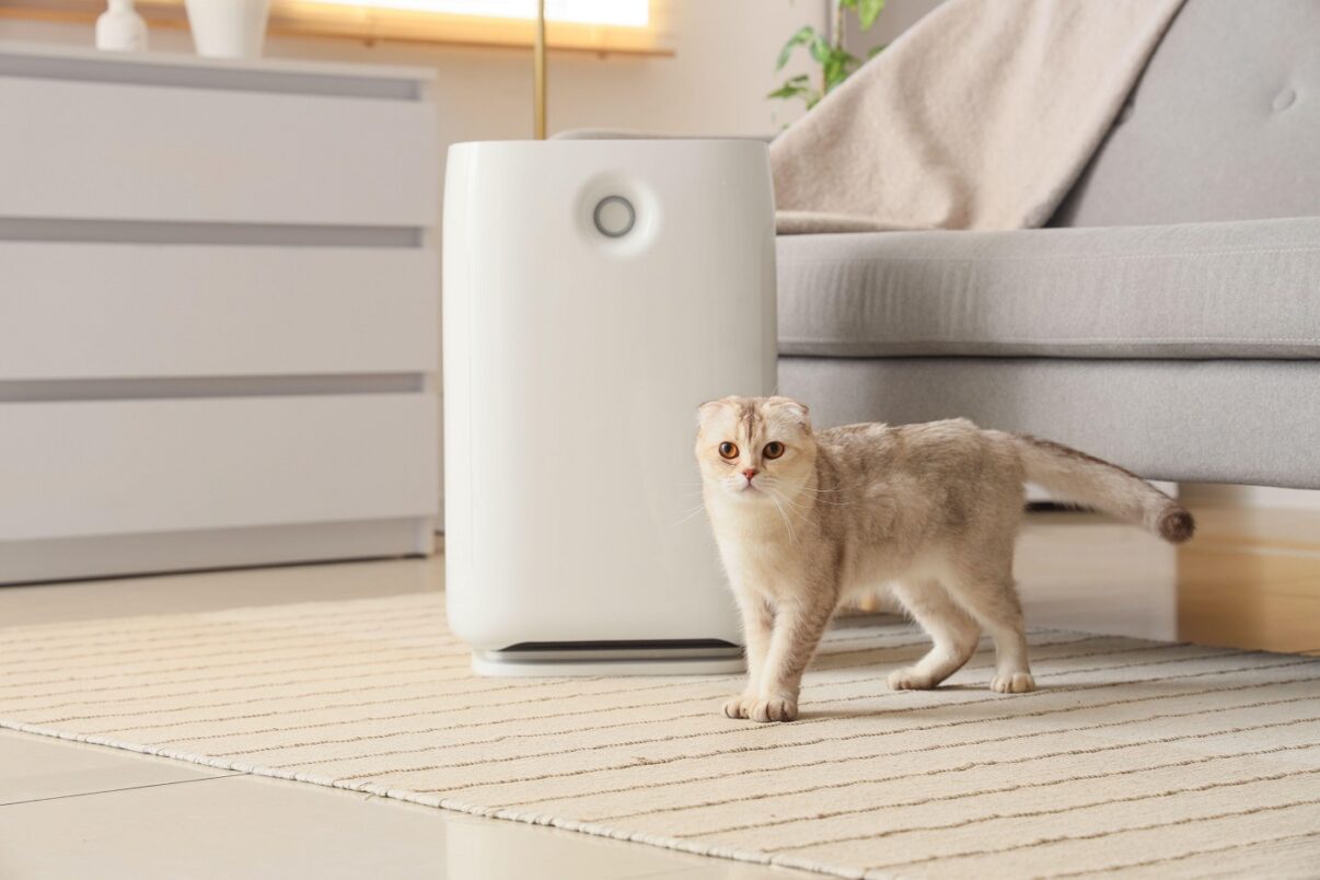 Purificatoarele de aer: cum alegem unul potrivit