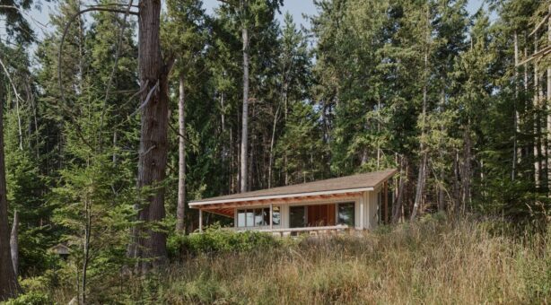 Cabana perfectă pentru retragerea în natură: lemn, liniște și simplitate