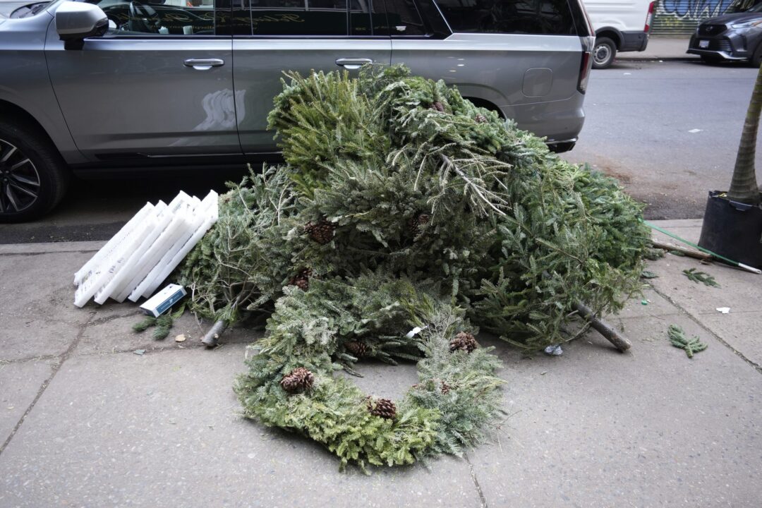 Bradul de Crăciun nu se aruncă. Iată alternativele