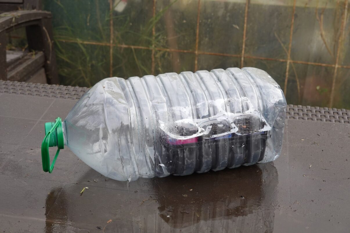 Seră DIY – cum construiești o mică seră pentru balcon