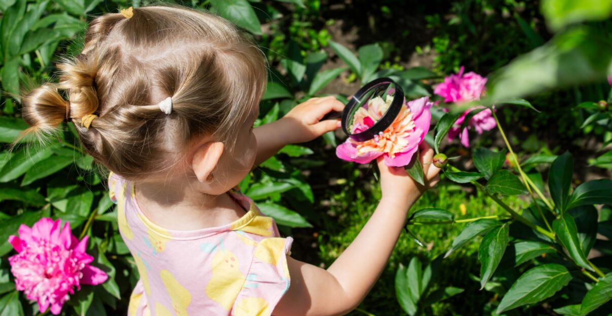 Grădina cu buget mic: cum crești un paradis botanic cu bani puțini