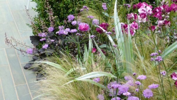 Cum proiectezi o grădină care arată bine tot anul