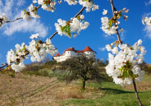 Monumentalul castel Veliki Tabor din Croația
