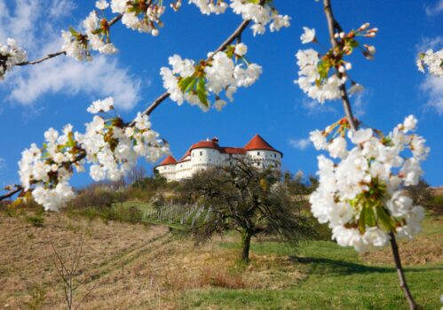 Monumentalul castel Veliki Tabor din Croația