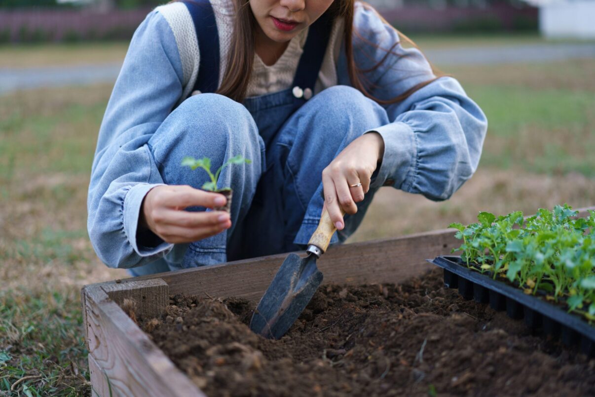 Grădina de aprilie: ce avem de făcut