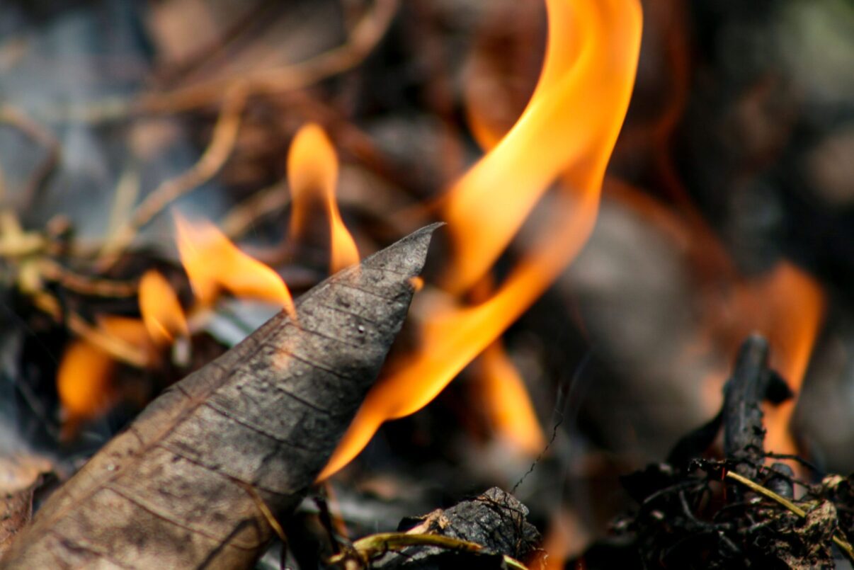 De ce să nu arzi resturile vegetale primăvara. Ce alte soluții să aplici