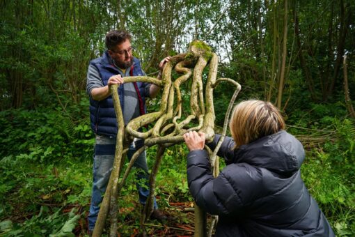 Noua variantă de mobilier: scaunele care cresc în pădure