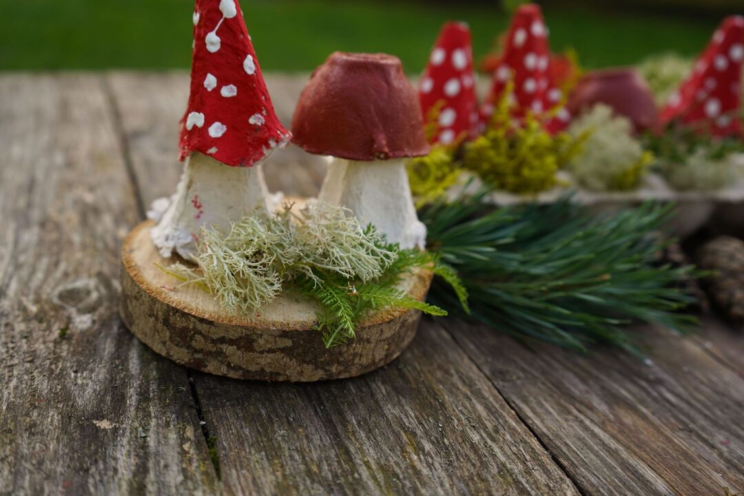 Reciclare creativă: o mică pădure într-un carton pentru ouă