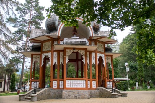 Călător acasă: Vatra Dornei